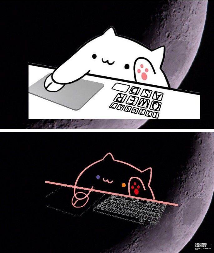  8Bongo Cat v0.1.6ֱ  Ʒ 164735oatt1bag0a07as5x